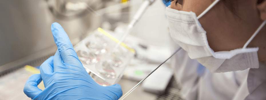 A scientist in the lab
