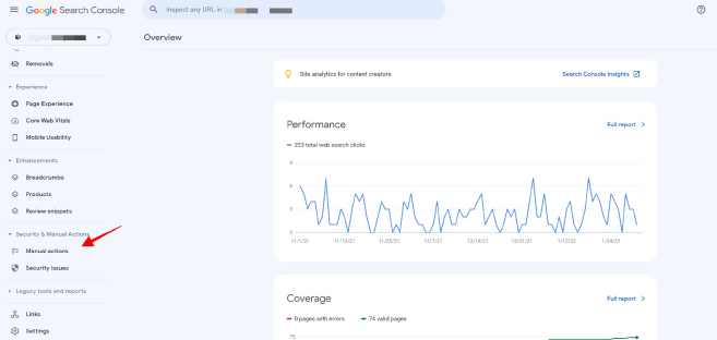 Screenshot of Google Search Console's Manual Actions section